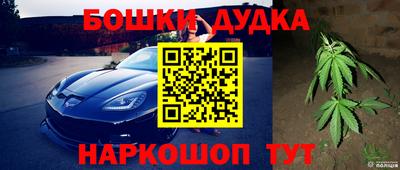 СК Краснодар