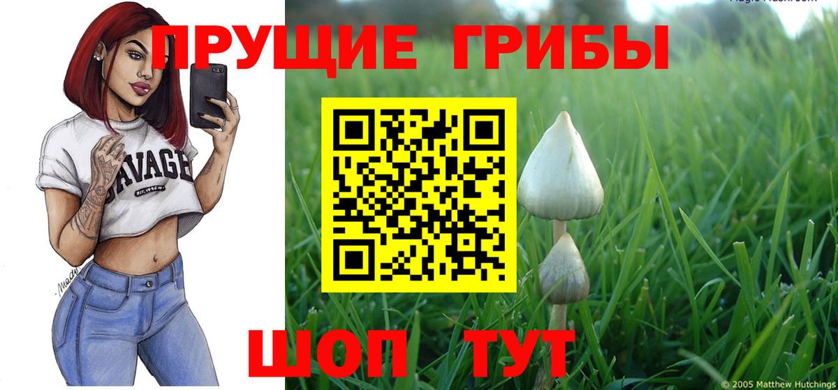Псилоцибиновые грибы мицелий Котлас