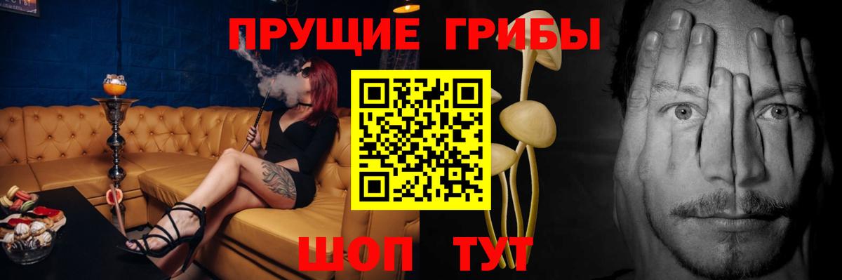 Котлас  цена наркотик  Вход с VPN  Галлюциногенные грибы MAGIC MUSHROOMS  Псилоцибиновые грибы Psilocybe 